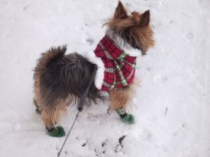 booties